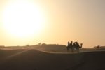 5 Things You Need To Know About Desert Safari Dubai