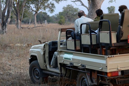 The Many Ways to Enjoy an African Safari Holiday - CosmoBC.com ...