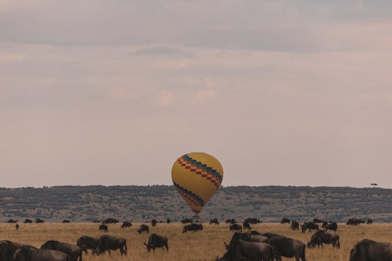 Types Of African Safaris Balloon