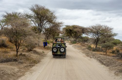 Types Of African Safaris Driving