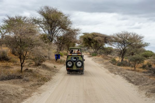 Types Of African Safaris Driving
