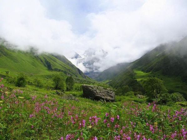 Valley of Flowers, India