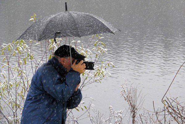 Wildlife Photography Rain