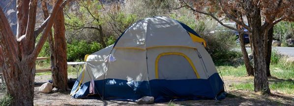 Big Bend Texas Chisos Basin Campground