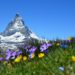 Swiss Alps Matterhorn