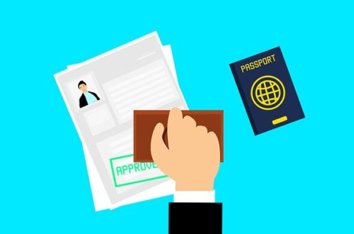 Visa Approved Passport