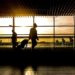 Airport Travel Planning Mindful Tips